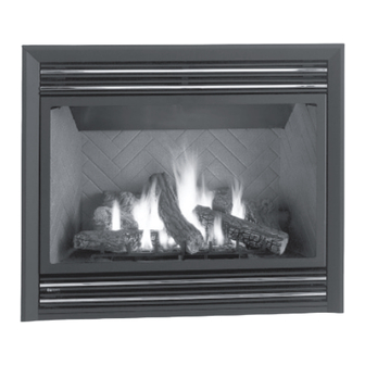 Regency Fireplace Products P48 Manuals