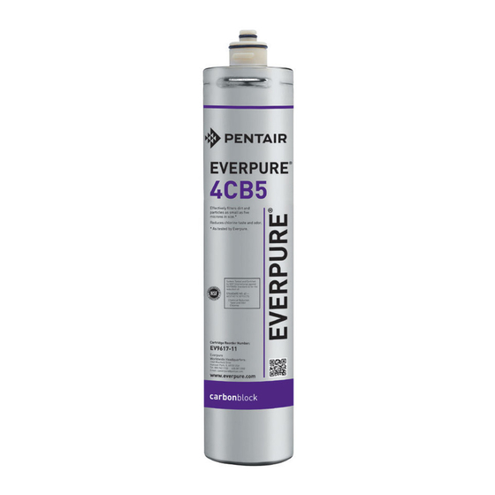 Everpure Kleensteam CT EV9617-11 Specification Sheet