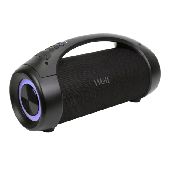 Well SPKR-BT-SOUL-WL Instruction Manual