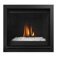 Regency Fireplace Products Grandview G600EC-NG Owners & Installation Manual