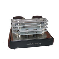 Mastersound 300 B Monoblock Plus User Manual