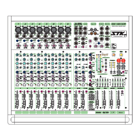 STK Professional Audio SM-16SDDR Owner's Manual
