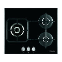 SCHOLTES TV 751 GH Operating Instructions Manual