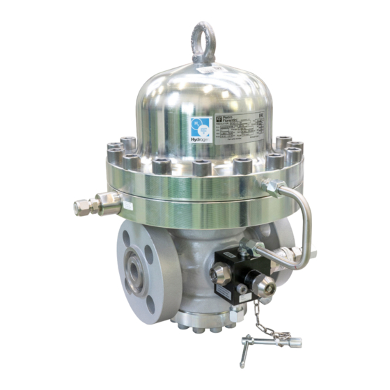 PIETRO FIORENTINI Staflux 187 H2 Use And Maintenance Manual