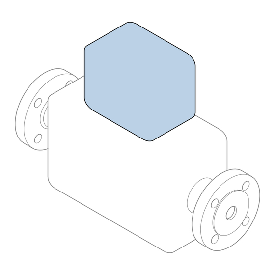 Endress+Hauser Flowmeter Proline 200 Brief Operating Instructions