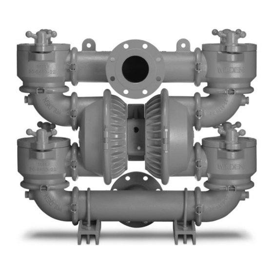 PSG Dover WILDEN PS20 METAL Engineering, Operation & Maintenance