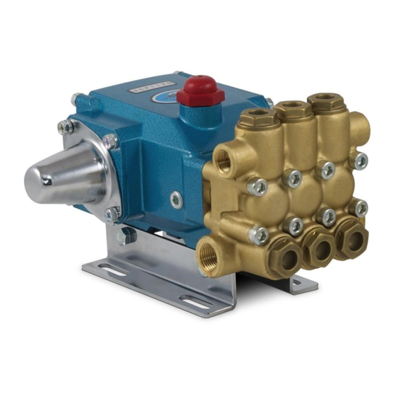 CAT Pumps 3CP Series Service Manual