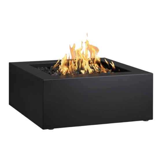 RealFlame Bryon C12700LP Manual