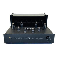 Black Ice Audio FUSION F11 Owner's Manual