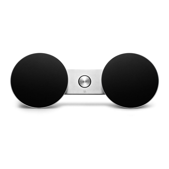 Bang & Olufsen BeoPlay A8 Manual