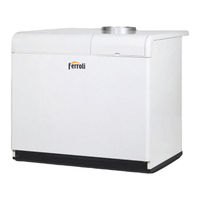 Ferroli PEGASUS F3 N 2S Instructions For Use, Installation And Maintenance