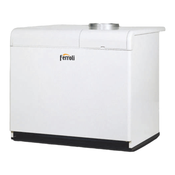Ferroli PEGASUS F3 N 2S Series Instructions For Use, Installation And Maintenance