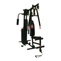 YORK FITNESS MEGA MAX 3001 INSTRUCTIONS MANUAL Pdf Download | ManualsLib