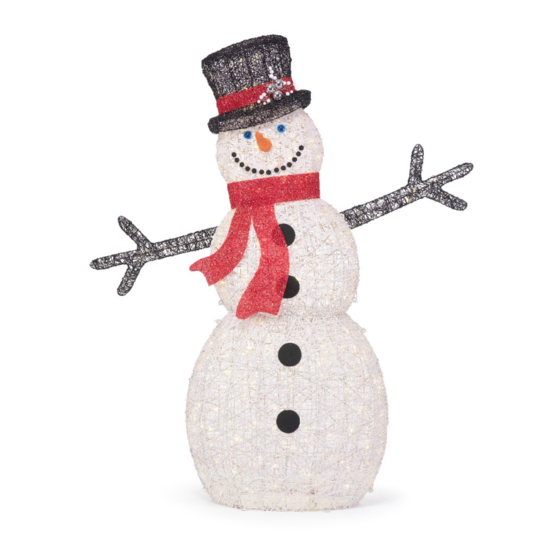 Home Accents Holiday TY409-1911 Assembly Instructions