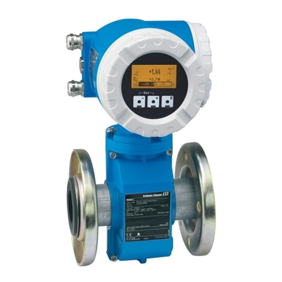 Endress+Hauser Proline promag 53 Documentation