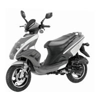 flyscooters Trek Owner's Manual