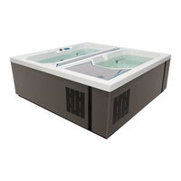 Master Spas MICHAEL PHELPS CHILLY GOA COLD TUB VALARIS Owner's Manual & Limited Warranty