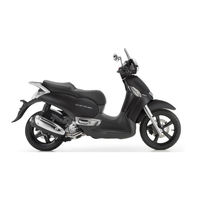 APRILIA SCARABEO 300 SPECIAL - 2009 Manual
