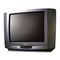 TV NEC DTE-25G5THS Service Manual