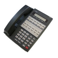 NEC DS1000/2000 User Manual