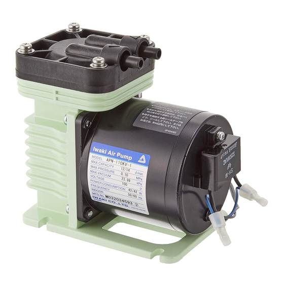 IWAKI PUMPS APN-110 Series Instruction Manual