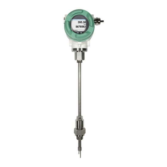 CS Instruments VA 550 Ex Manual