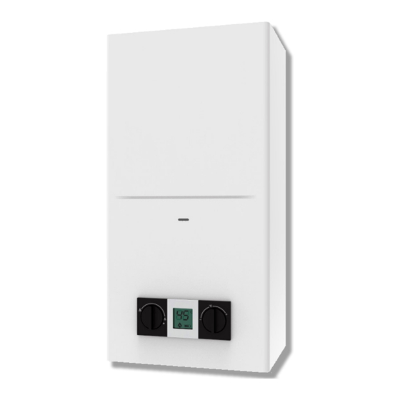 Ferroli PEGASO ECO Instructions For Use, Installation And Maintenence