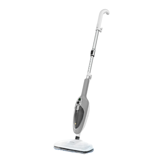 GorFanty online multifunction, steam mop