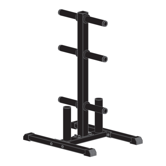 Vision Fitness 300-WPS Manual