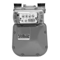 Badger Meter Orion AM Series Installation Manual