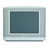 Philips 20-REAL FLAT TV 20PT6245 User Manual