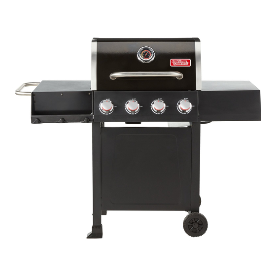 Outdoor gourmet gas outlet grill