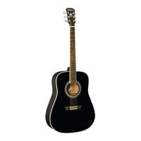 Washburn WD5S12B Brochure