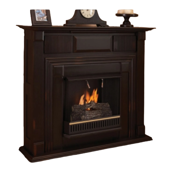 REAL FLAME 9000 INSTRUCTION MANUAL Pdf Download ManualsLib