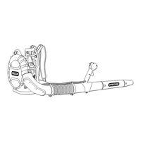 Oregon Professional BL120VX-NA Instruction Manual