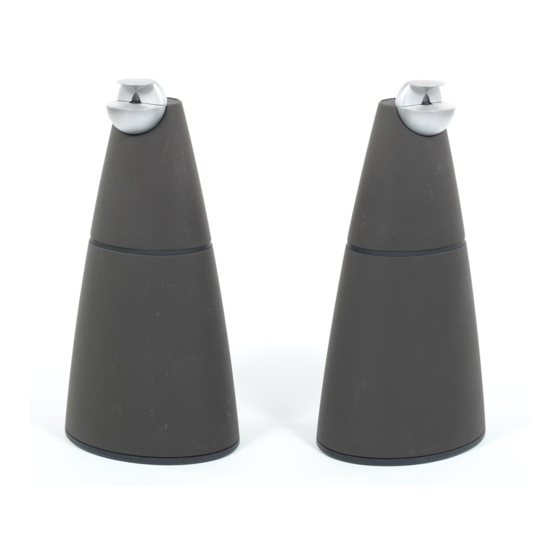 Bang & Olufsen BeoLab 9 Manual