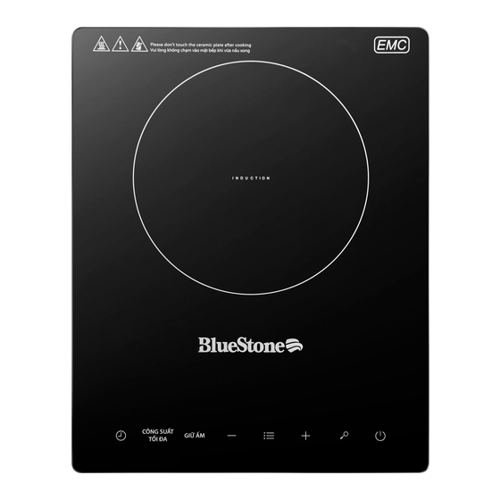 Bluestone ICB-6728 User Manual