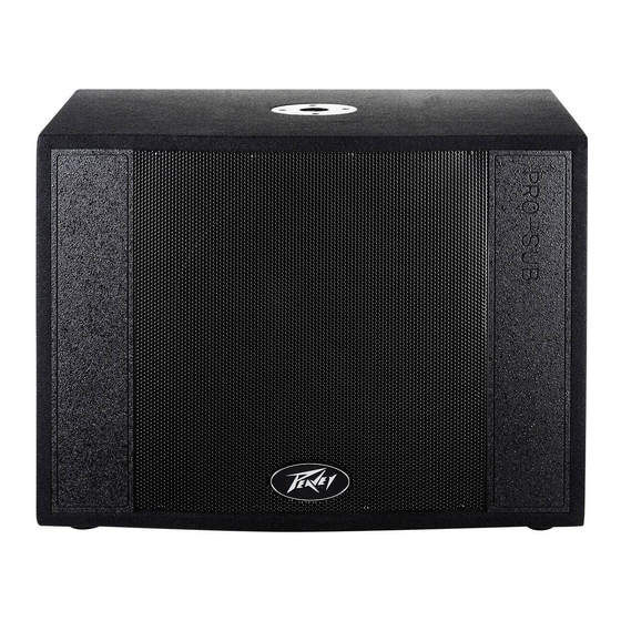 Peavey Versarray™ Pro 112 Powered Ribbon Line Array Module