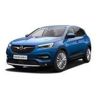 Opel Grandland X Owner's Manual