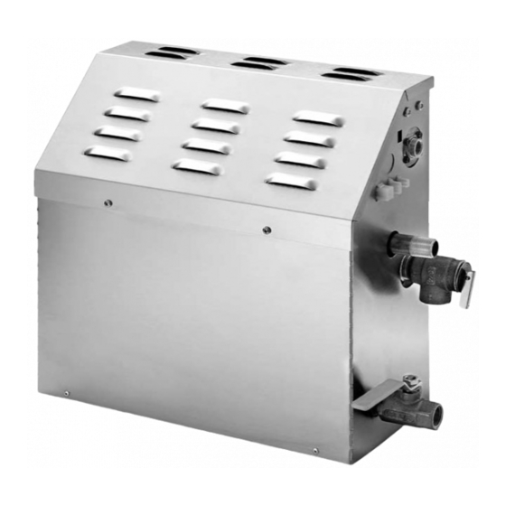 MR. STEAM MS65T INSTALLATION, OPERATION & MAINTENANCE MANUAL Pdf Download ManualsLib