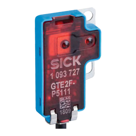 SICK GTE2 Flat Photoelectric Sensors Manuals