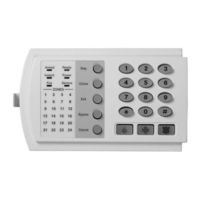 NetworX NX-6V2 User Manual