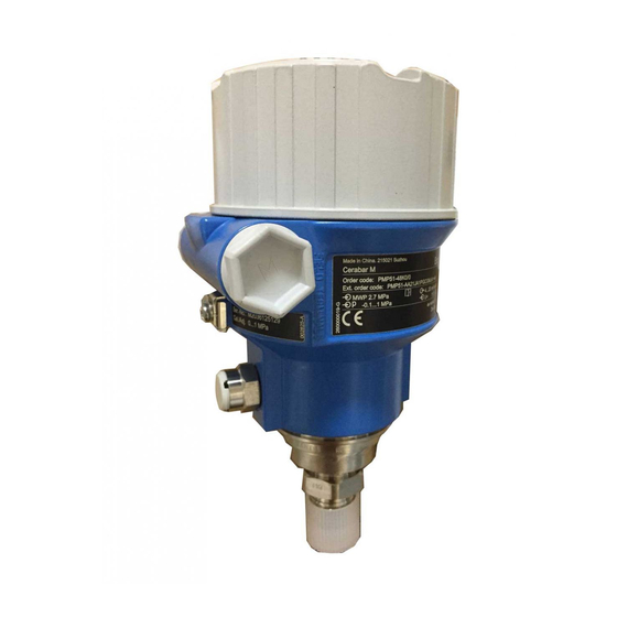 ENDRESS+HAUSER CERABAR M PMP51 OWNER'S MANUAL Pdf Download ManualsLib