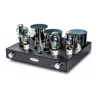 Fezz Audio Lybra 300 B User Manual