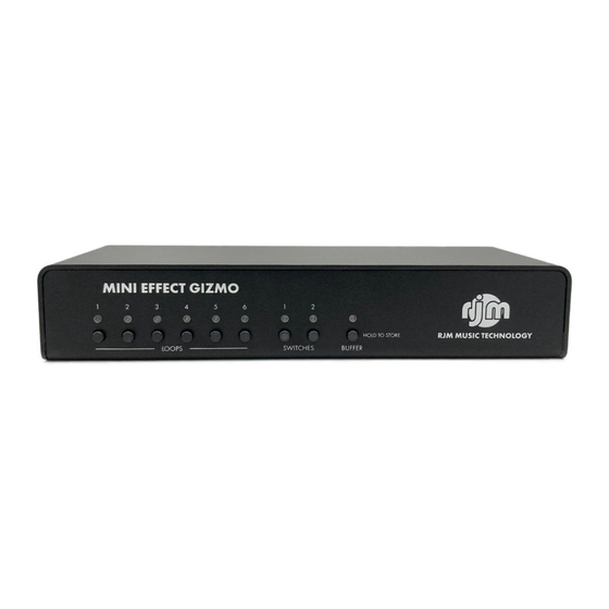 RJM MINI EFFECT GIMZO X User Manual