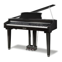 Becker BDGP-1 Owner's Manual