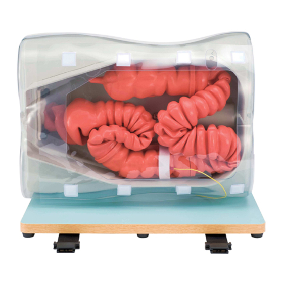 KOKEN Colonoscopy Lower GI Endoscopy Simulator Type II Instruction Manual