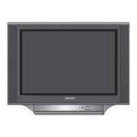 Sanyo CM29FS2A Instruction Manual