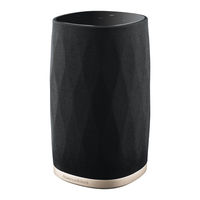 Bowers & Wilkins Formation Flex Manual