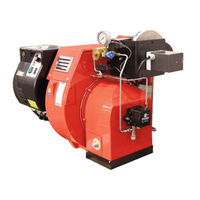 Ecoflam MAIOR P 15 AB Manual